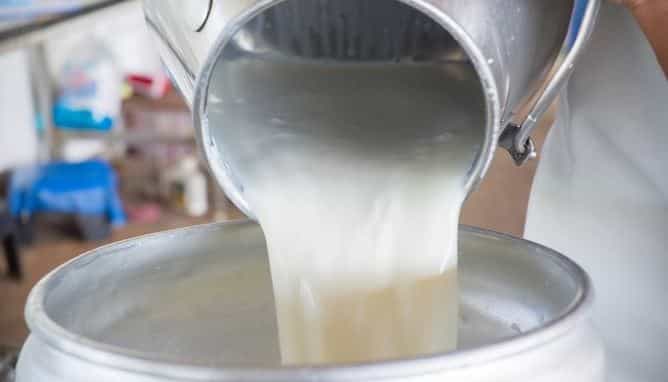 World Milk Day 2021 ವಿಶ್ವ ಹಾಲು ದಿನ.. ಈ ದಿನದ ಮಹತ್ವ ನಿಮಗೆ ಗೊತ್ತೆ? World Milk Day 2021 ವಿಶ್ವ ಹಾಲು ದಿನ.. ಈ ದಿನದ ಮಹತ್ವ ನಿಮಗೆ ಗೊತ್ತೆ?