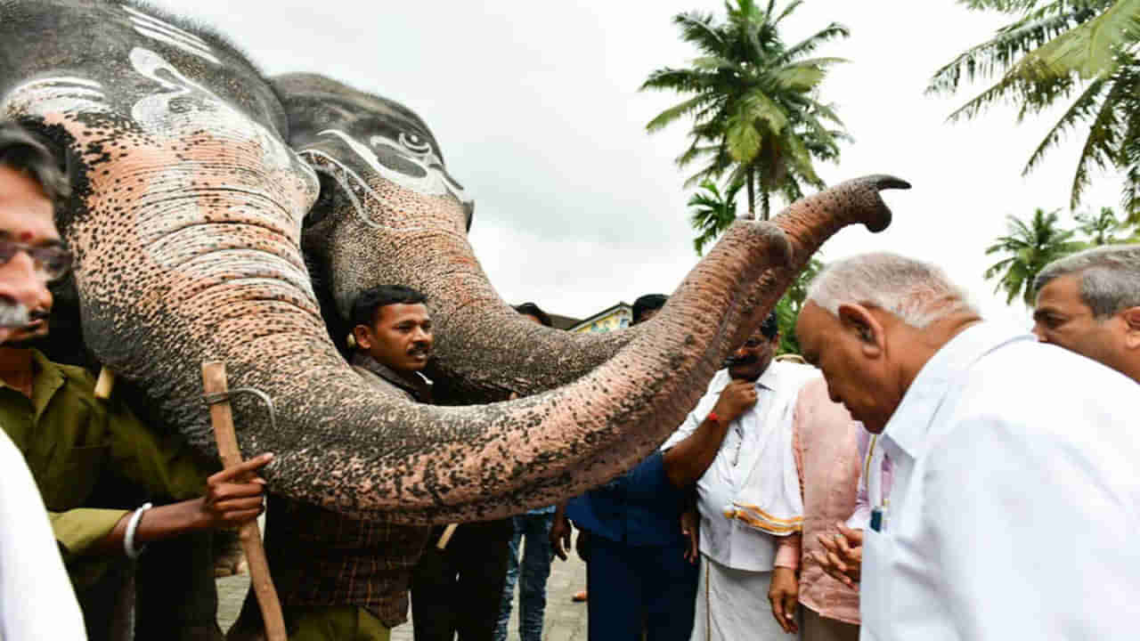 ಮಳೆ ನಿಲ್ಲಲೆಂದು ಶೃಂಗೇರಿ ಶಾರದಾಂಬೆಯ ಮೊರೆ ಹೋದ ಸಿಎಂ ಯಡಿಯೂರಪ್ಪ