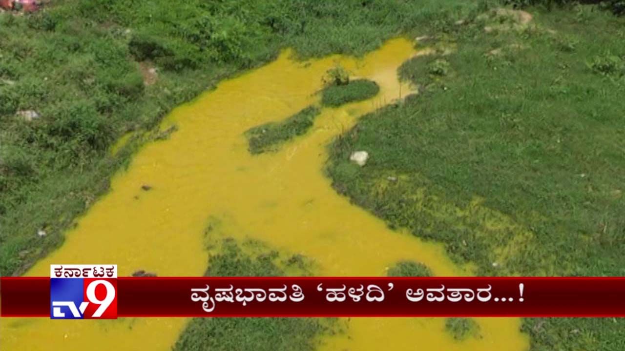 ಮತ್ತೆ ಹಳದಿ ಬಣ್ಣಕ್ಕೆ ತಿರುಗಿದ ವೃಷಭಾವತಿ ನದಿ ನೀರು!