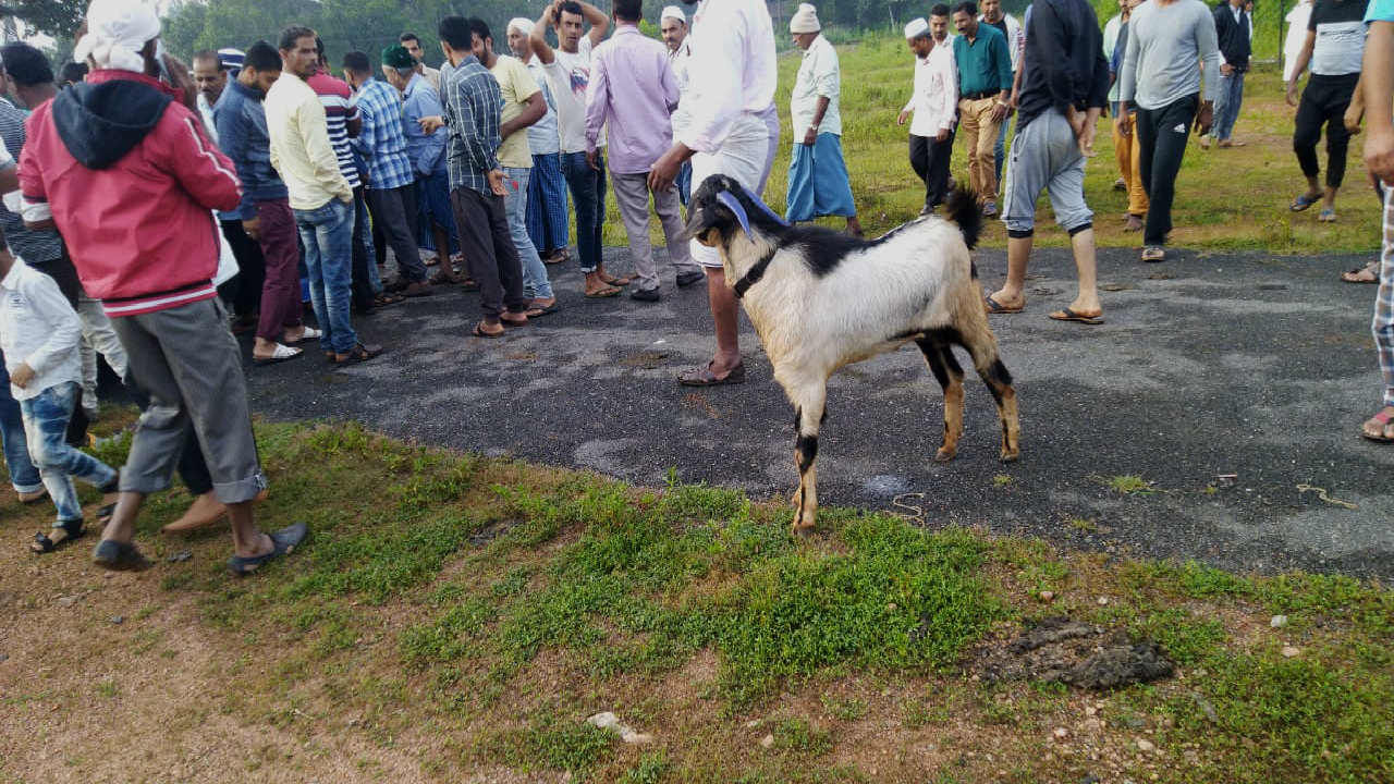 ಆತ್ಮೀಯನ ಅಂತಿಮ ಪಯಣದಲ್ಲಿ ಹೆಜ್ಜೆ ಹಾಕಿದ ಕುರಿ..!