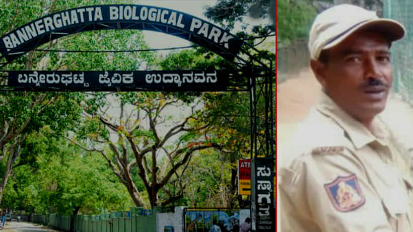 ಬನ್ನೇರುಘಟ್ಟ ಪಾರ್ಕ್ನಲ್ಲಿ ದುರ್ಘಟನೆ, ಸಿಬ್ಬಂದಿ ಸಾವು