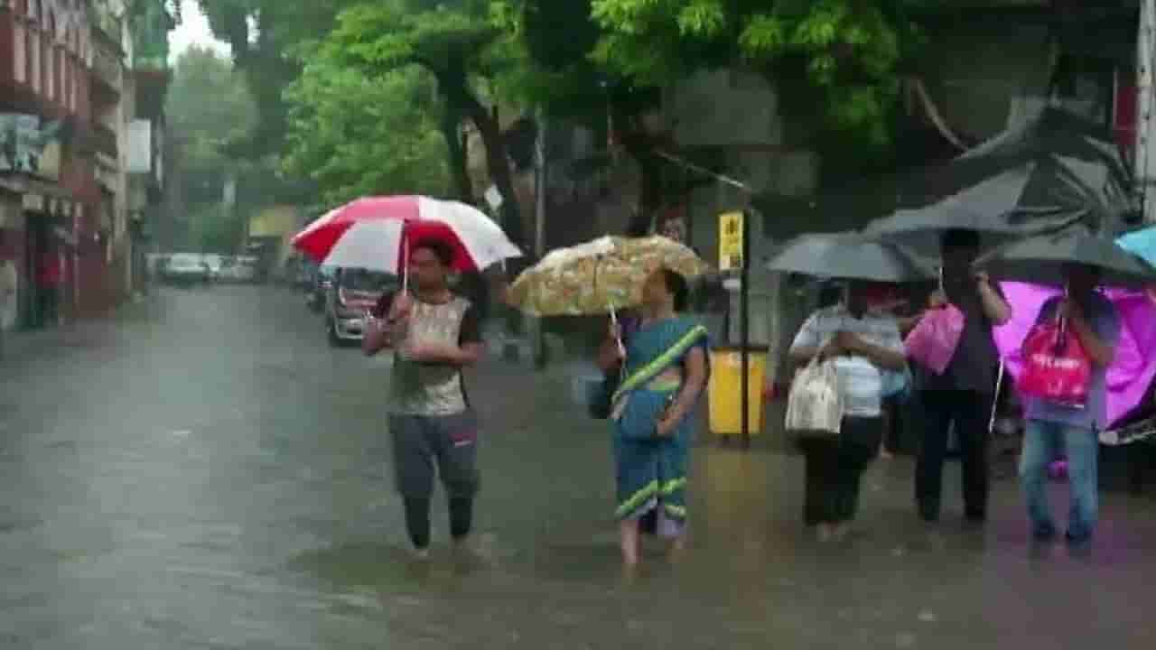 ಈ ವಾರಾಂತ್ಯ ಮಳೆಯಲಿ.. ಬುಲ್ ಬುಲ್ ದೇ ಹವಾ!