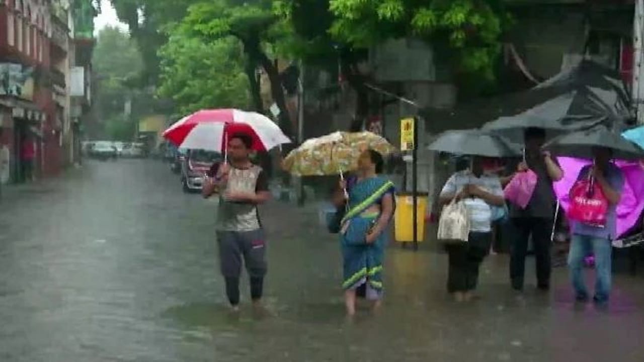 ಈ ವಾರಾಂತ್ಯ ಮಳೆಯಲಿ.. ಬುಲ್ ಬುಲ್ ದೇ ಹವಾ! ಈ ವಾರಾಂತ್ಯ ಮಳೆಯಲಿ.. ಬುಲ್ ಬುಲ್ ದೇ ಹವಾ!