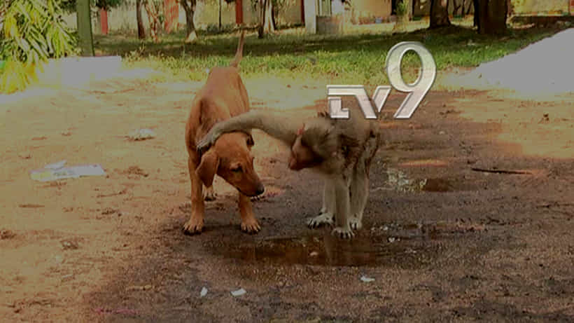 ನಂಜನಗೂಡು ಕೋರ್ಟ್ಗೆ ಬಂದ ಕುಚಿಕು ಕುಚಿಕು ಗೆಳೆಯರು!