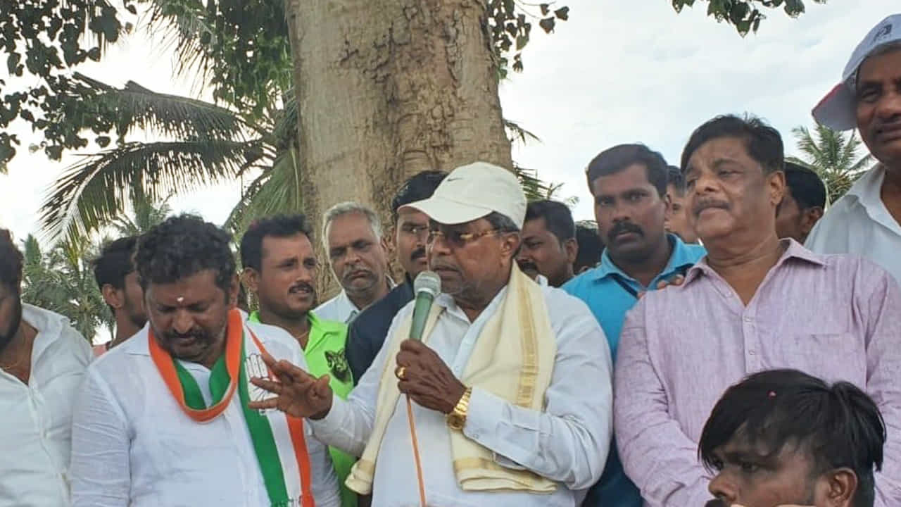 ನಾವು ಮತ್ತೆ ಅಧಿಕಾರಕ್ಕೆ ಬರುತ್ತೇವೆ, 10ಕೆಜಿ ಅಕ್ಕಿ ಕೊಡ್ತೇವೆ: ಸಿದ್ದರಾಮಯ್ಯ ಭರವಸೆ ನಾವು ಮತ್ತೆ ಅಧಿಕಾರಕ್ಕೆ ಬರುತ್ತೇವೆ, 10ಕೆಜಿ ಅಕ್ಕಿ ಕೊಡ್ತೇವೆ: ಸಿದ್ದರಾಮಯ್ಯ ಭರವಸೆ