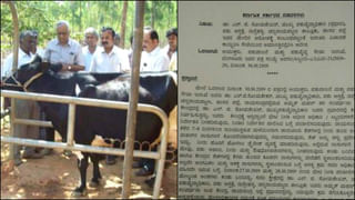 ದುರ್ಗದಲ್ಲಿ ಮತ್ತೆ ಬಿಜೆಪಿ ಶಾಸಕರ ಮನೆಗೆ ಕನ್ನ ಹಾಕಿದ ಖದೀಮರು