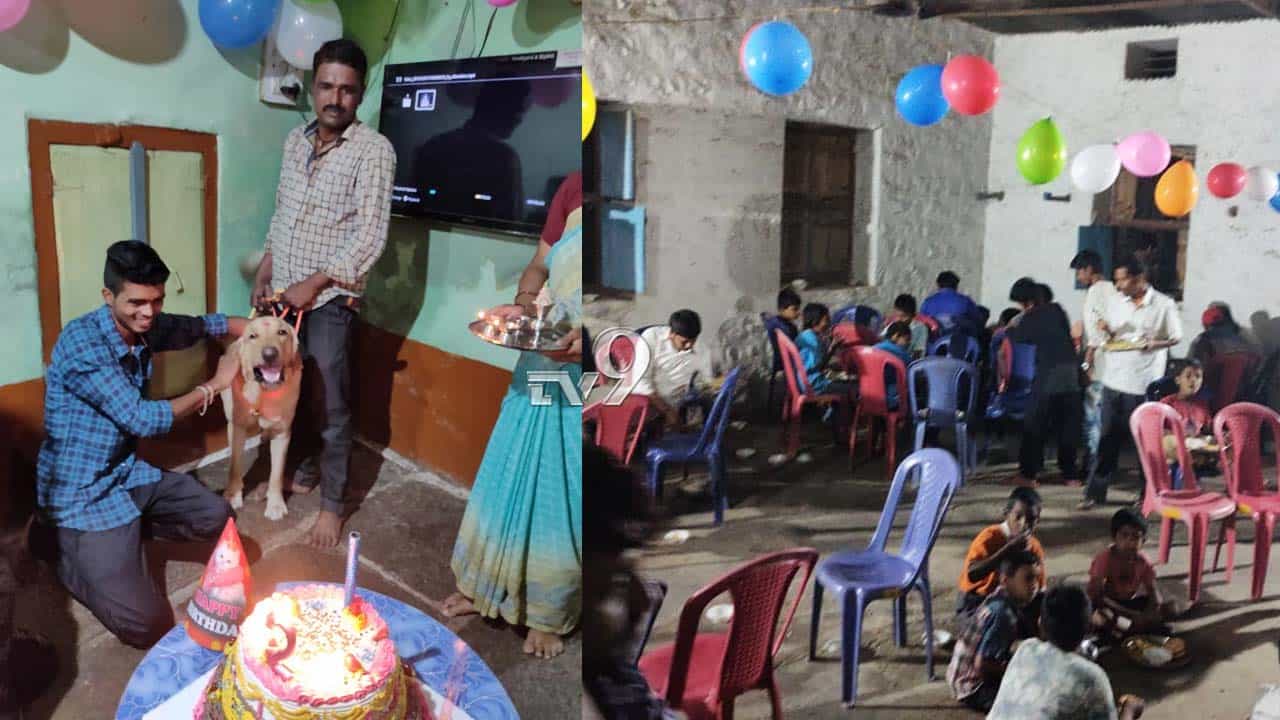 ಆರತಿ ಬೆಳಗಿ ಕೇಕ್ ಕತ್ತರಿಸಿ ಬರ್ತಡೆ ಆಚರಿಸಿದ ನಾಯಿ, ಗಿಫ್ಟ್ ಆಗಿ 50 ಗ್ರಾಂ ಚಿನ್ನದ ಸರ ಆರತಿ ಬೆಳಗಿ ಕೇಕ್ ಕತ್ತರಿಸಿ ಬರ್ತಡೆ ಆಚರಿಸಿದ ನಾಯಿ, ಗಿಫ್ಟ್ ಆಗಿ 50 ಗ್ರಾಂ ಚಿನ್ನದ ಸರ