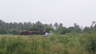 ಪಿಡಿಒಗಳಿಗೆ ಕರೆ ಮಾಡಿ ಬೆದರಿಕೆ ಹಾಕುತ್ತಿದ್ದ ಆಪ್ತ ಸಹಾಯಕ ಸಸ್ಪೆಂಡ್​