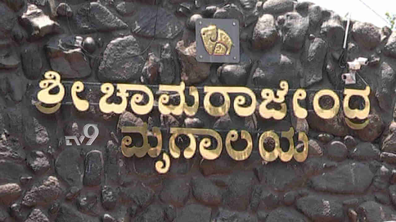 ಮೈಸೂರು ಮೃಗಾಲಯಕ್ಕೆ ಆಗಮಿಸಿದ ಹೊಸ ಅತಿಥಿಗಳು, ಪ್ರವಾಸಿಗರು ಫುಲ್ ಖುಷ್