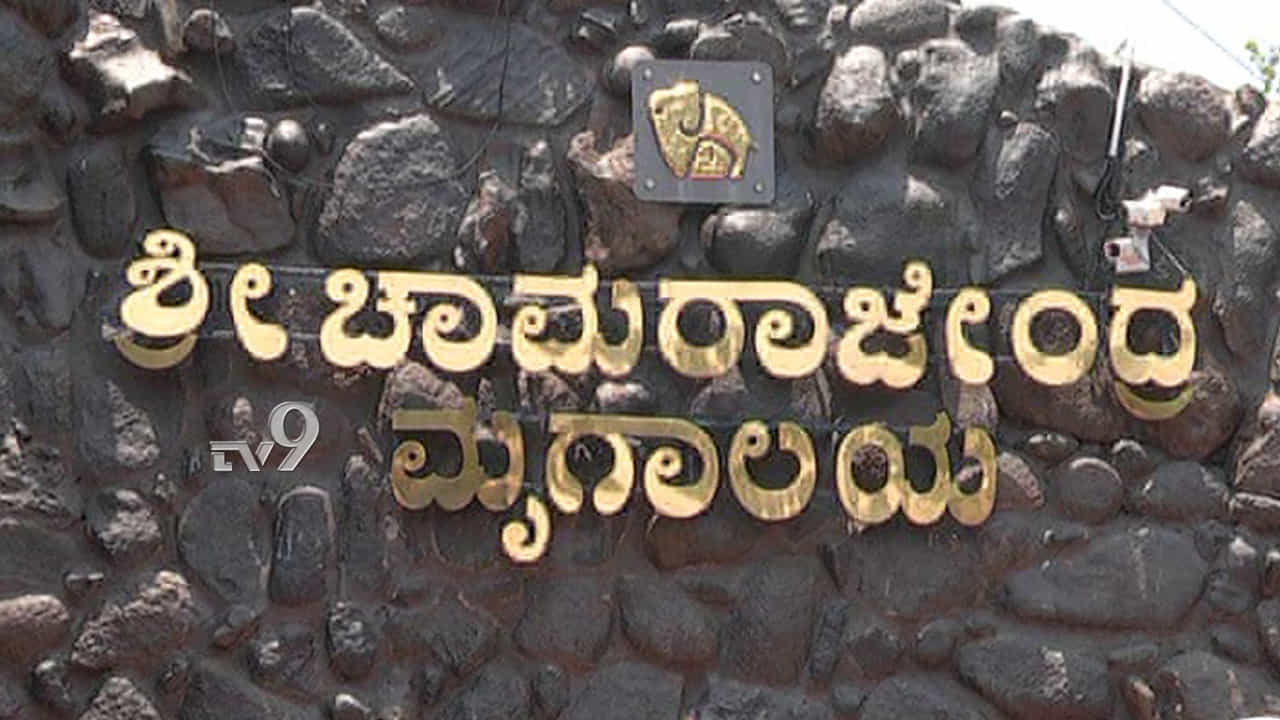 ಮೈಸೂರು ಮೃಗಾಲಯಕ್ಕೆ ಆಗಮಿಸಿದ ಹೊಸ ಅತಿಥಿಗಳು, ಪ್ರವಾಸಿಗರು ಫುಲ್ ಖುಷ್ ಮೈಸೂರು ಮೃಗಾಲಯಕ್ಕೆ ಆಗಮಿಸಿದ ಹೊಸ ಅತಿಥಿಗಳು, ಪ್ರವಾಸಿಗರು ಫುಲ್ ಖುಷ್