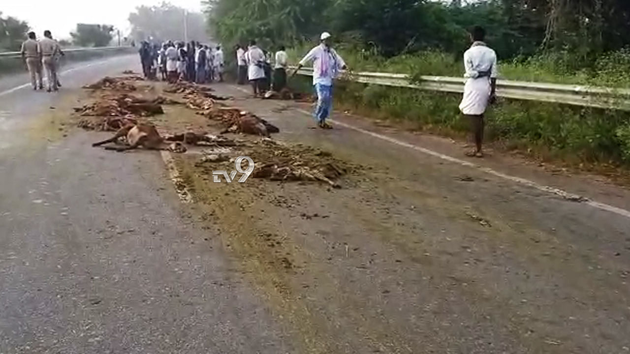 ಚನ್ನಳ್ಳಿ ಕ್ರಾಸ್ ಬಳಿ KSRTC ಬಸ್ ಡಿಕ್ಕಿ, 40 ಕುರಿಗಳ ಸಾವು