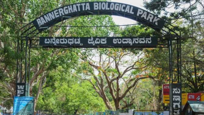 ಪ್ರಾಣಿಗಳ ರಕ್ಷಣೆಗೆ ಸಾರ್ವಜನಿಕರಿಂದ 1.3 ಕೋಟಿ ರೂ. ದೇಣಿಗೆ: ಬನ್ನೇರುಘಟ್ಟ ಜೈವಿಕ ಉದ್ಯಾನದ ಇಡಿ ವನಶ್ರೀ ಸಿಂಗ್​