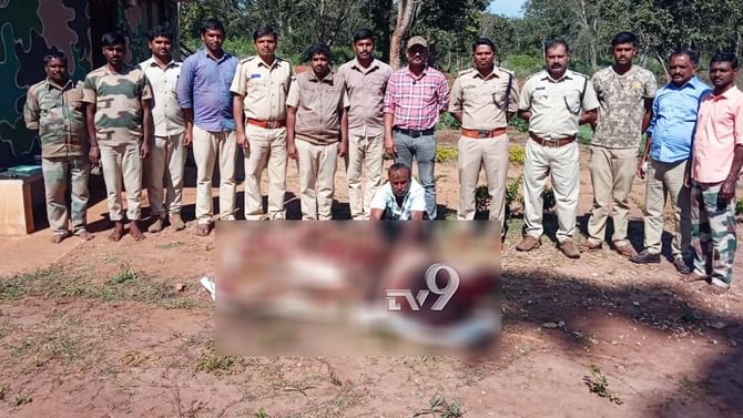 80 ಕೆಜಿ ಕಡವೆ ಮಾಂಸ ಶೇಖರಿಸಿಟ್ಟಿದ್ದ ವ್ಯಕ್ತಿ ಪೊಲೀಸರ ವಶಕ್ಕೆ 80 ಕೆಜಿ ಕಡವೆ ಮಾಂಸ ಶೇಖರಿಸಿಟ್ಟಿದ್ದ ವ್ಯಕ್ತಿ ಪೊಲೀಸರ ವಶಕ್ಕೆ