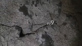 ತೃಣಮೂಲ ನಿಯೋಗ ಭೇಟಿ: ಮಂಗಳೂರು ಫೈರಿಂಗ್​ ಸಂತ್ರಸ್ಥರಿಗೆ ಚೆಕ್ ವಿತರಣೆ