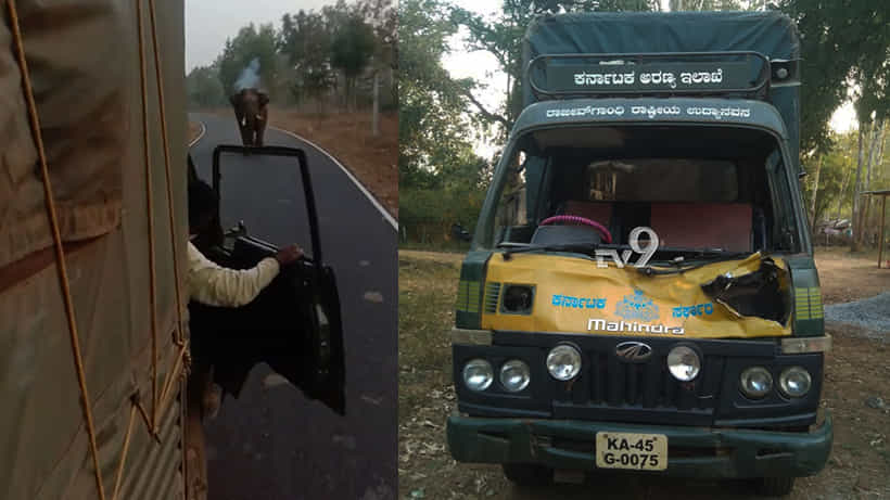 ಆನೆ ದಾಳಿ: ಅರಣ್ಯ ಇಲಾಖೆಯ ಗೂಡ್ಸ್ ಟೆಂಪೋ ಜಖಂ, ಡ್ರೇವರ್ ಬಚಾವ್!