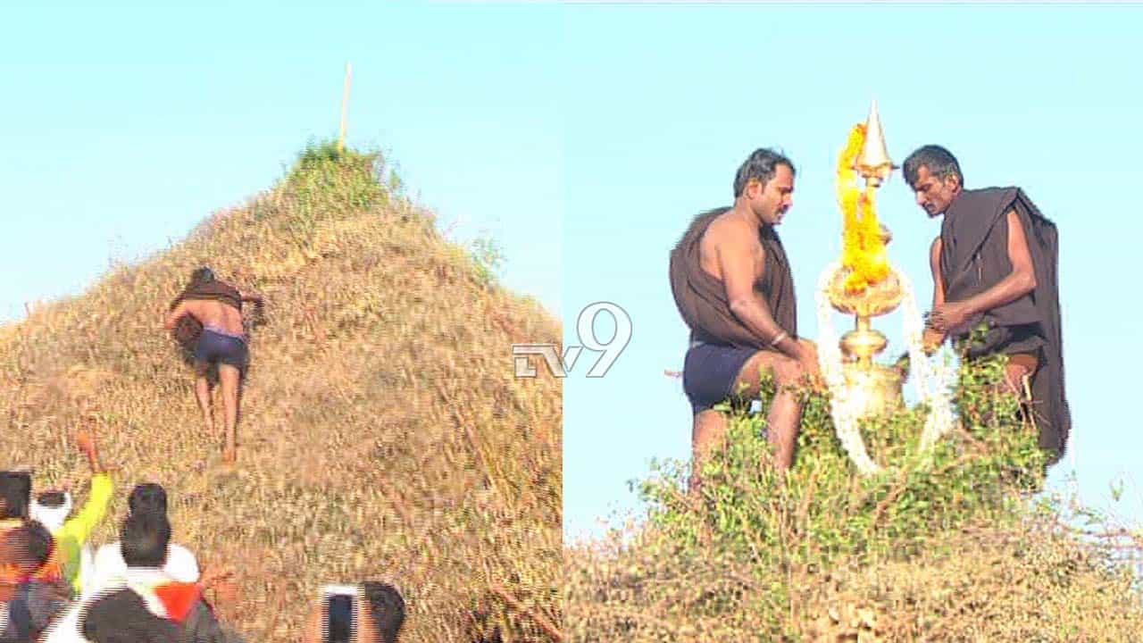 ಕೋಟೆನಾಡಿನಲ್ಲಿ ಬುಡಕಟ್ಟು ಸಂಸ್ಕೃತಿ ಅನಾವರಣ, ಮುಳ್ಳು ಗಿಡದಿಂದಲೇ ದೇಗುಲ ನಿರ್ಮಾಣ ಕೋಟೆನಾಡಿನಲ್ಲಿ ಬುಡಕಟ್ಟು ಸಂಸ್ಕೃತಿ ಅನಾವರಣ, ಮುಳ್ಳು ಗಿಡದಿಂದಲೇ ದೇಗುಲ ನಿರ್ಮಾಣ