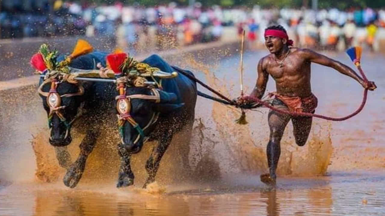 ಕಂಬಳ ವೀರನ ‘ಮಿಂಚಿನ ಓಟ’.. SAI ಸಂಪರ್ಕಕ್ಕೆ ಸೂಚಿಸಿದ ಕೇಂದ್ರ ಕ್ರೀಡಾ ಸಚಿವ ಕಂಬಳ ವೀರನ ‘ಮಿಂಚಿನ ಓಟ’.. SAI ಸಂಪರ್ಕಕ್ಕೆ ಸೂಚಿಸಿದ ಕೇಂದ್ರ ಕ್ರೀಡಾ ಸಚಿವ