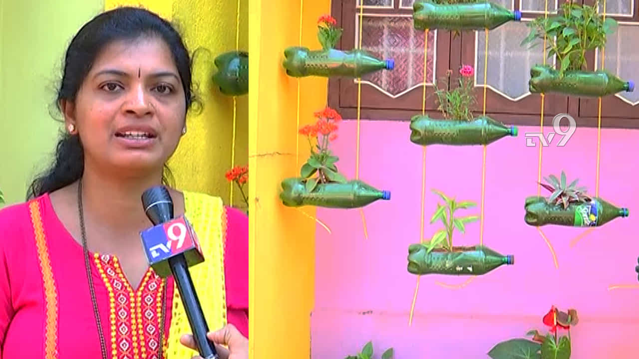 ವೇಸ್ಟ್ ಬಾಟಲಿಗಳಲ್ಲಿ ಅರಳಿದ ಕೈತೋಟ: ದಂಪತಿ ಕಲಾತ್ಮಕ ಟಚ್​ಗೆ ಜನ ಫಿದಾ!