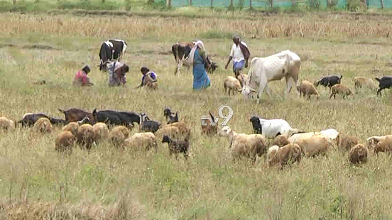 ಅಂತರ್ಜಲ ವೃದ್ಧಿಸಲು ಮಾಸ್ಟರ್ ಪ್ಲ್ಯಾನ್, ಜಲಾಮೃತ ವಿಳಂಬಕ್ಕೆ ರೈತರ ಆಕ್ರೋಶ