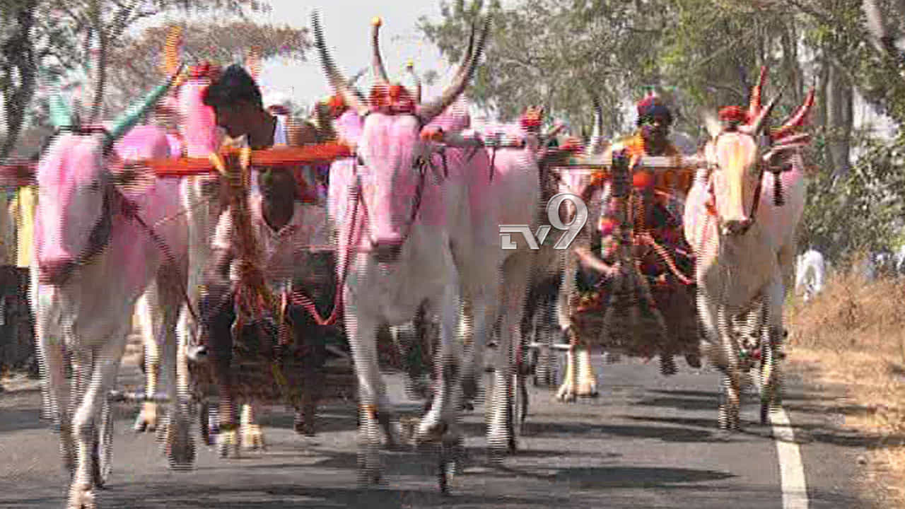 ಲಕ್ಷ್ಮೀ ಜಾತ್ರೆಯಲ್ಲಿ ಜಾನಪದ ಸಂಭ್ರಮ: ಬಂಡಿ ಓಟ ಸ್ಪರ್ಧೆಯಲ್ಲಿ ಸಾಹಸಿಗರ ಕಮಾಲ್ ಲಕ್ಷ್ಮೀ ಜಾತ್ರೆಯಲ್ಲಿ ಜಾನಪದ ಸಂಭ್ರಮ: ಬಂಡಿ ಓಟ ಸ್ಪರ್ಧೆಯಲ್ಲಿ ಸಾಹಸಿಗರ ಕಮಾಲ್