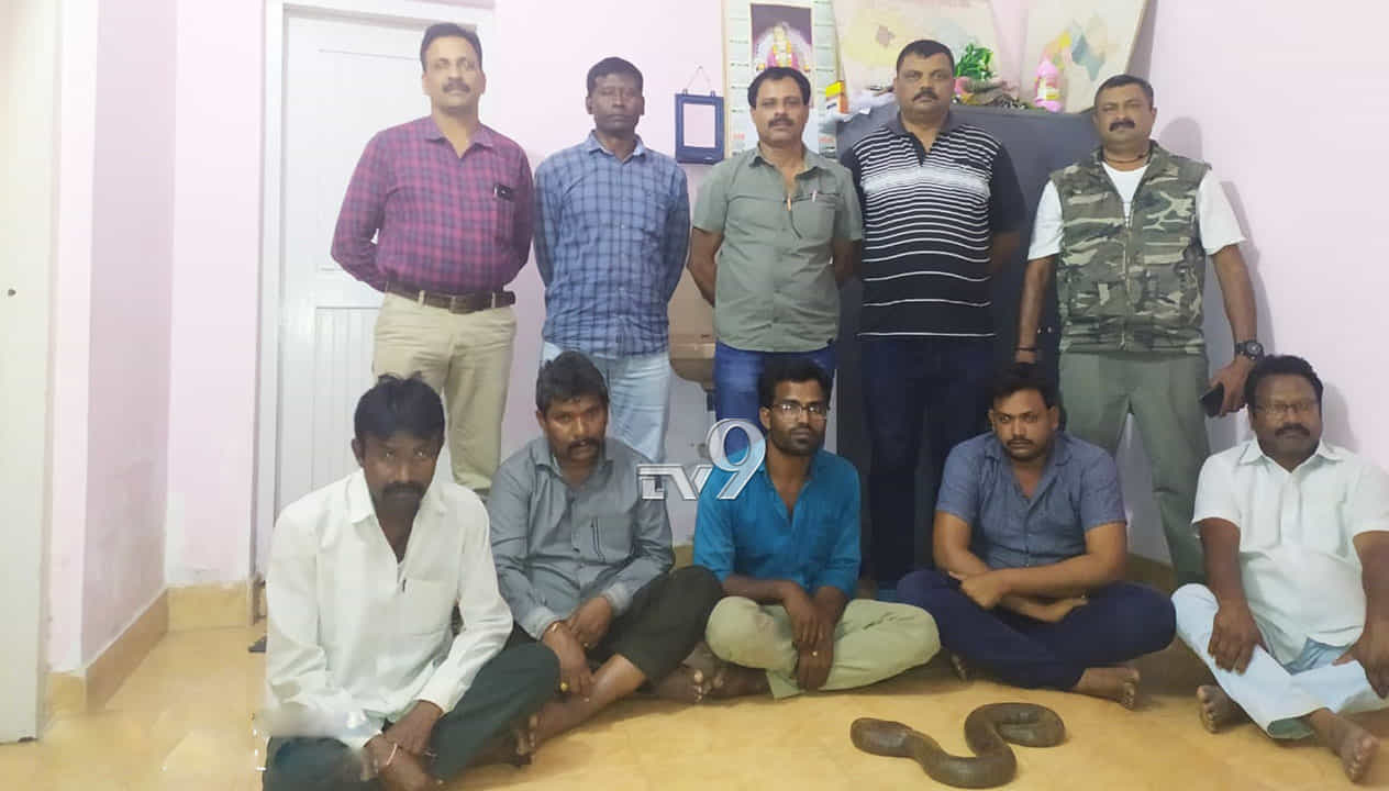 ಎರಡು ತಲೆ ಹಾವು ಮಾರಾಟಕ್ಕೆ ಯತ್ನಿಸಿ ಸಿಕ್ಕಿಬಿದ್ದ ಖದೀಮರು ಎರಡು ತಲೆ ಹಾವು ಮಾರಾಟಕ್ಕೆ ಯತ್ನಿಸಿ ಸಿಕ್ಕಿಬಿದ್ದ ಖದೀಮರು