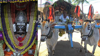 ಮುಂಜಾನೆ ಮಂಜಿನ ಸೊಬಗು: ಪ್ರಕೃತಿ ಸೌಂದರ್ಯಕ್ಕೆ ಮನಸೋತ ಹಾವೇರಿ ಜನ