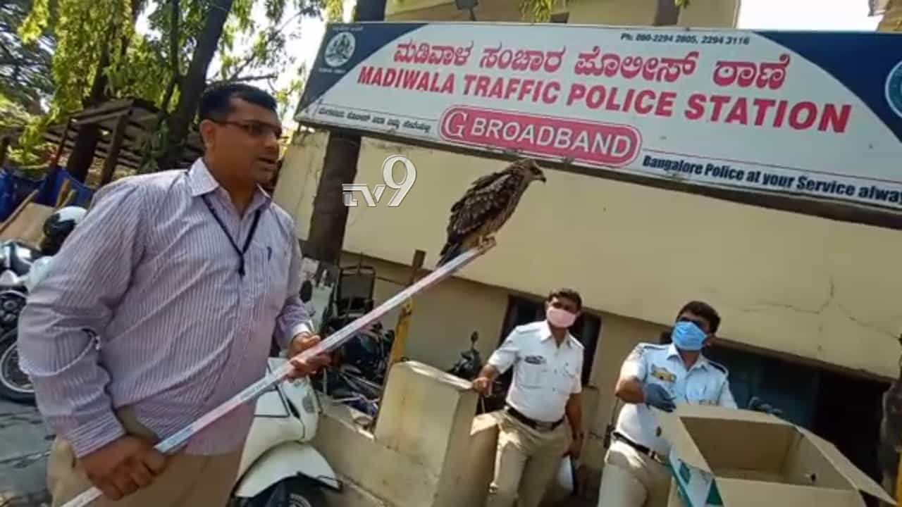 ರಸ್ತೆಯಲಿ ಜೀವನ್ಮರಣ ಹೋರಾಟ ನಡೆಸ್ತಿದ್ದ ಹದ್ದಿಗೆ ಮಡಿವಾಳ ಪೊಲೀಸರ ಆಸರೆ! ರಸ್ತೆಯಲಿ ಜೀವನ್ಮರಣ ಹೋರಾಟ ನಡೆಸ್ತಿದ್ದ ಹದ್ದಿಗೆ ಮಡಿವಾಳ ಪೊಲೀಸರ ಆಸರೆ!