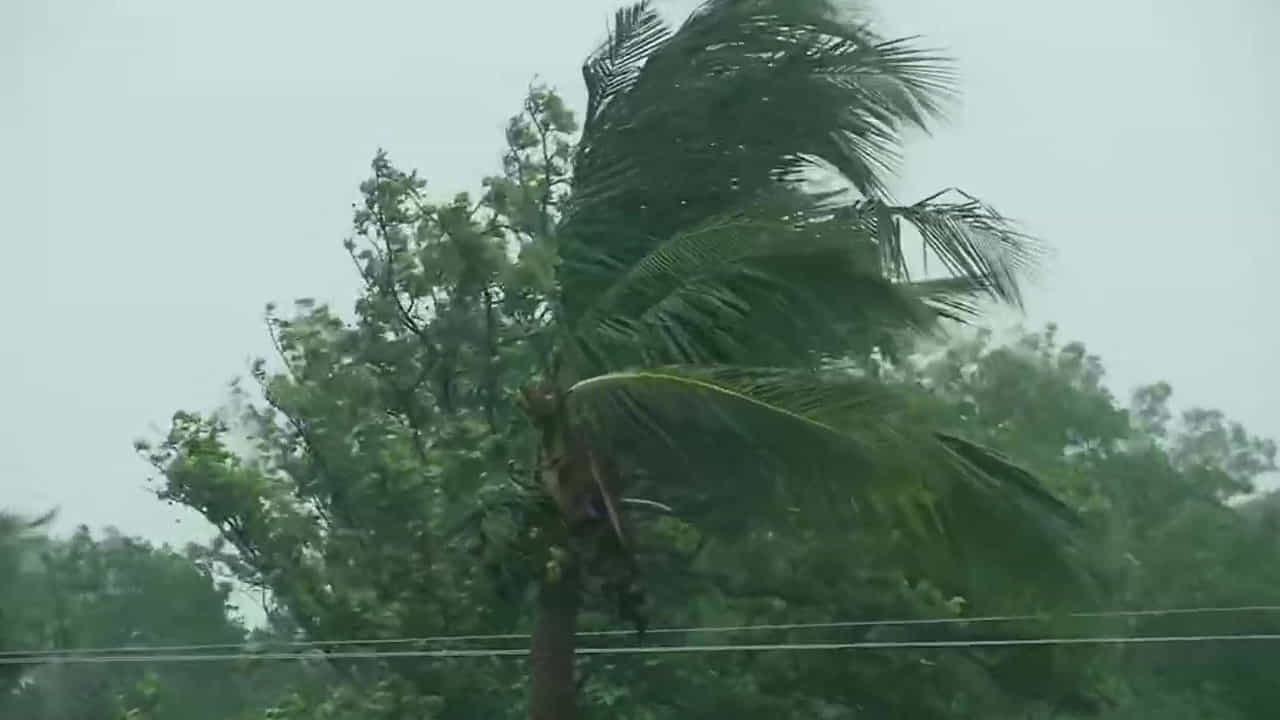 ಅಂಫಾನ್ ಚಂಡಮಾರುತ: ಮುಂಜಾಗ್ರತಾ ಕ್ರಮವಾಗಿ 19 NDRF ತಂಡಗಳ ನಿಯೋಜನೆ ಅಂಫಾನ್ ಚಂಡಮಾರುತ: ಮುಂಜಾಗ್ರತಾ ಕ್ರಮವಾಗಿ 19 NDRF ತಂಡಗಳ ನಿಯೋಜನೆ