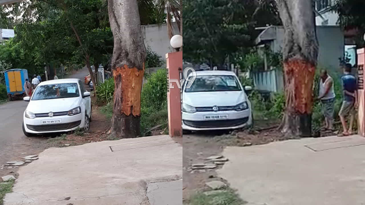 ಧಾರವಾಡದಲ್ಲೊಬ್ಬ ಮರಕುಟಿಕ.. ಇವನೆಂಥಾ ವಿಚಿತ್ರ ಮನುಷ್ಯ!? ಧಾರವಾಡದಲ್ಲೊಬ್ಬ ಮರಕುಟಿಕ.. ಇವನೆಂಥಾ ವಿಚಿತ್ರ ಮನುಷ್ಯ!?
