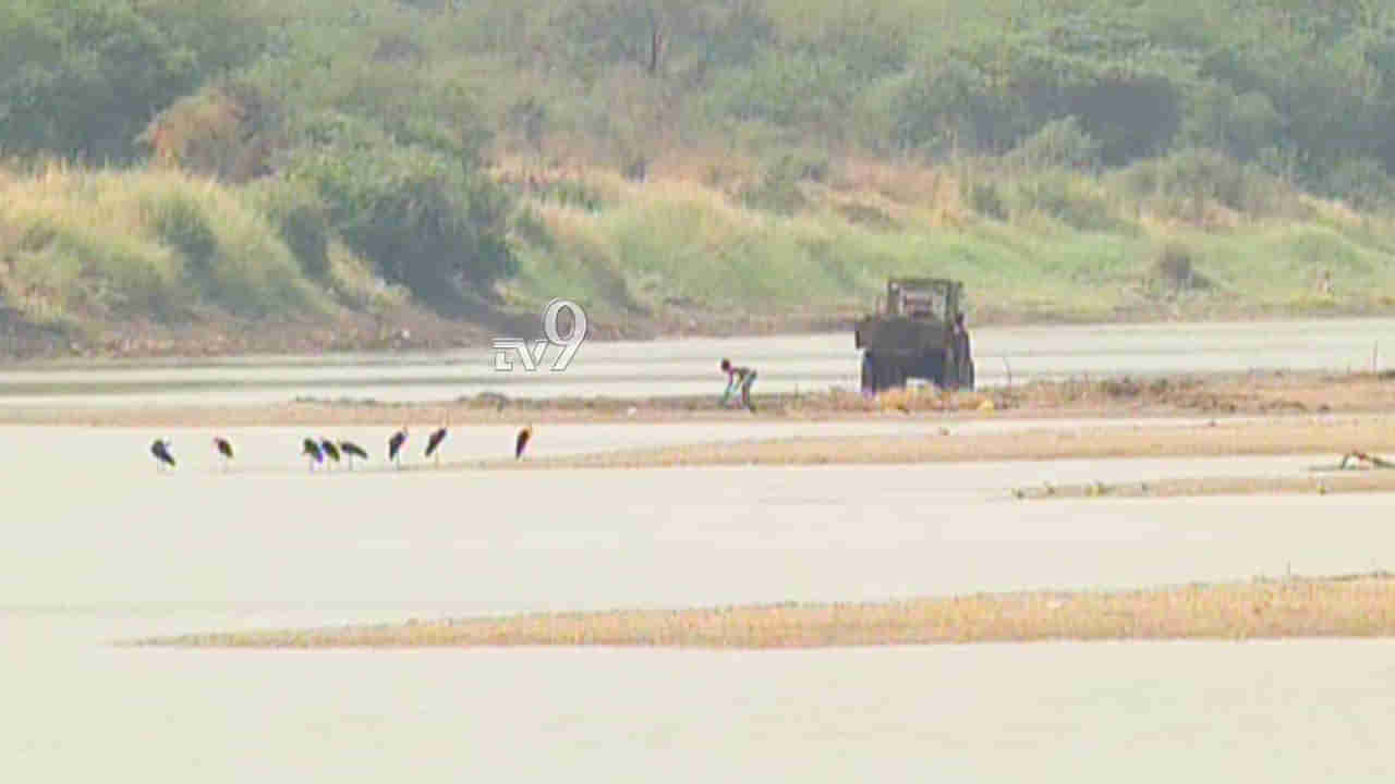 ಮಾಂಜ್ರಾ ನದಿಯ ಒಡಲನ್ನೇ ಬಗೆದು ಅಕ್ರಮ ಮರಳು ದಂಧೆ, ಕಣ್ಮುಚ್ಚಿ ಕುಳಿತ ಅಧಿಕಾರಿಗಳು