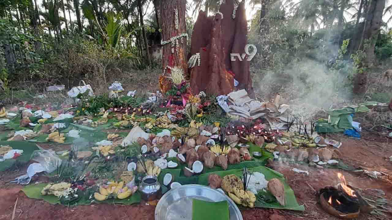 ಮಹಾಮಾರಿ ಕೊರೊನಾ ಬರಬಾರದೆಂದು ಈ ಗ್ರಾಮದಲ್ಲಿ ಅಜ್ಜಿ ಹಬ್ಬ ಆಚರಣೆ