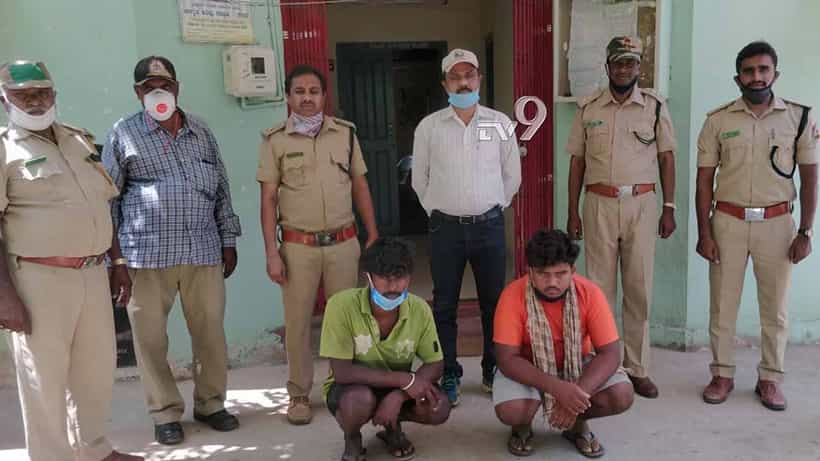 ಮೊಲ ಬೇಟೆಯಾಡಿ ಟಿಕ್ ಟಾಕ್ ಮಾಡಿದ್ದ ಆರೋಪಿಗಳು ಅಂದರ್