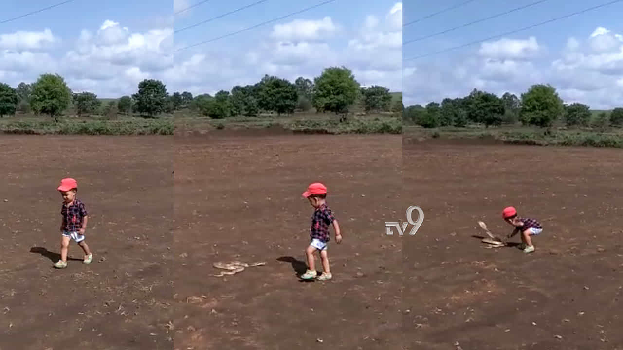 ತೋಟದಲ್ಲಿದ್ದ ನಾಗರ ಹಾವನ್ನೇ ಹೆದರಿಸಿದ ಪುಟ್ಟ ಪೋರ! ತೋಟದಲ್ಲಿದ್ದ ನಾಗರ ಹಾವನ್ನೇ ಹೆದರಿಸಿದ ಪುಟ್ಟ ಪೋರ!
