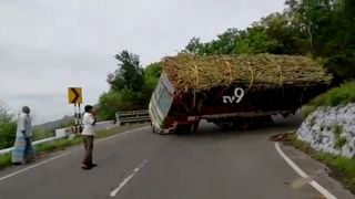 ಕುರಿಕಾಯುವ ಯುವಕನಿಗೆ ಕೊರೊನಾ.. 40 ಕುರಿಗಳಿಗೆ ಕೋವಿಡ್‌ ಟೆಸ್ಟ್‌!