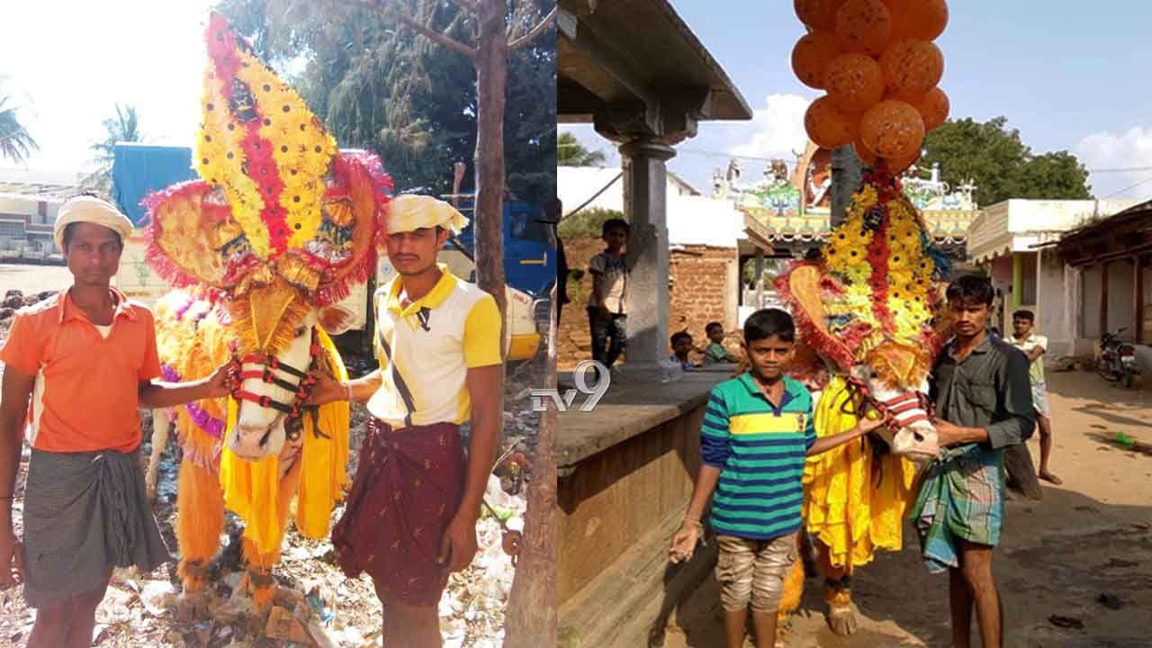 ಪೀಪಿ ಹೋರಿ ಸಾವು: ಅಸಂಖ್ಯ ಅಭಿಮಾನಿಗಳ ನಡುವೆ ಅಂತ್ಯಕ್ರಿಯೆ