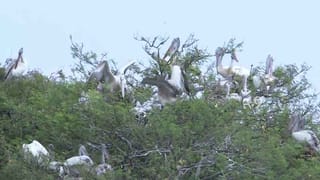 ಪರಿಷತ್ ಟಿಕೆಟ್​ಗಾಗಿ ಫೈಟ್, ಸಿದ್ದರಾಮಯ್ಯ-ಡಿಕೆಶಿ ಸೀಕ್ರೆಟ್ ಮೀಟಿಂಗ್!