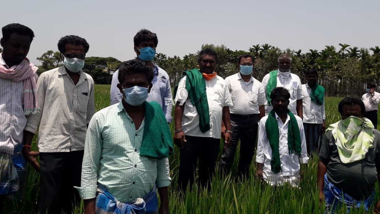 ಮೆಕ್ಕೆಜೋಳ ಬೆಳೆಯುವವರಿಗೆ ಮಾತ್ರ ಪರಿಹಾರ, ಭಕ್ತ ಬೆಳೆಯುವವರಿಗ್ಯಾಕಿಲ್ಲ? ಮೆಕ್ಕೆಜೋಳ ಬೆಳೆಯುವವರಿಗೆ ಮಾತ್ರ ಪರಿಹಾರ, ಭಕ್ತ ಬೆಳೆಯುವವರಿಗ್ಯಾಕಿಲ್ಲ?