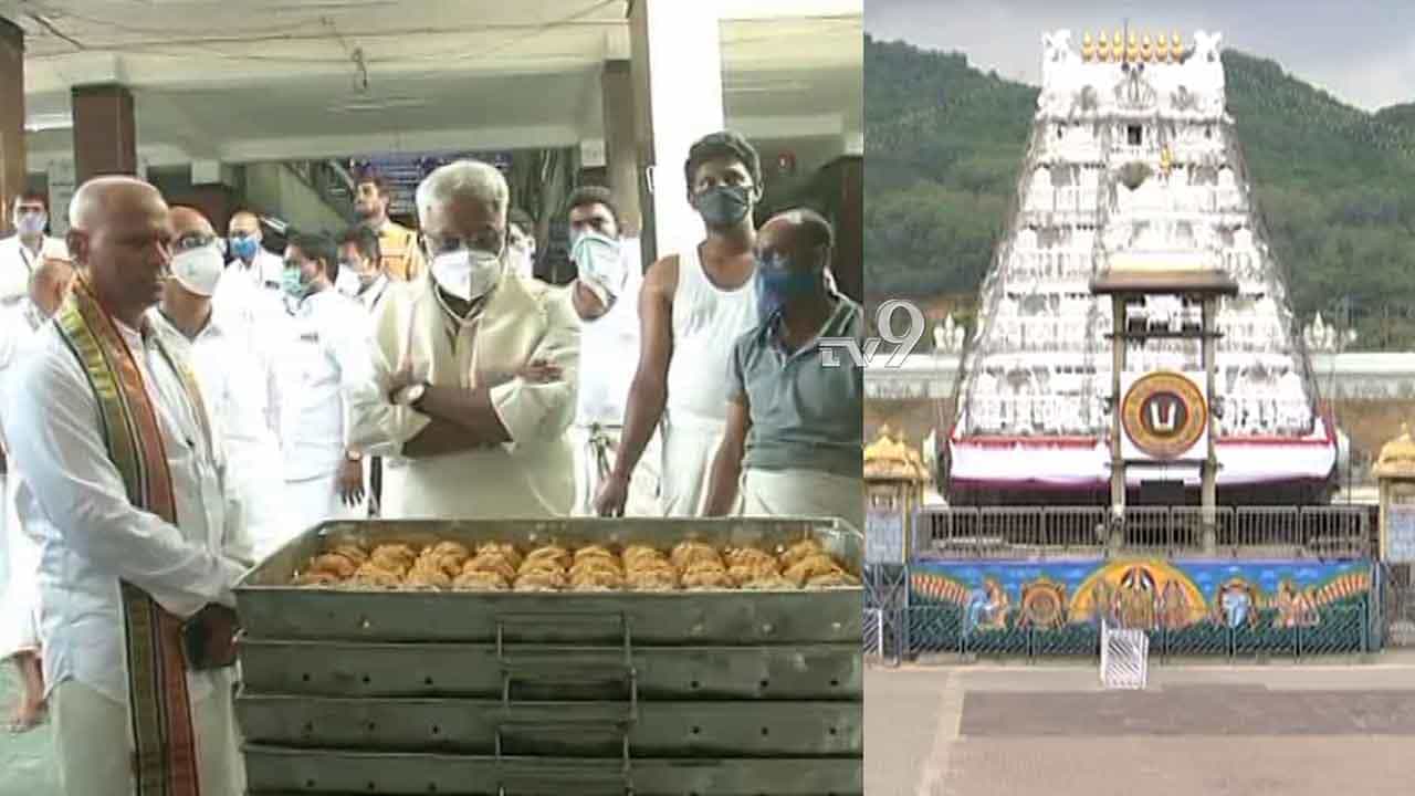 ಶೀಘ್ರದಲ್ಲೇ ಭಕ್ತರಿಗೆ ತೆರೆಯಲಿದೆ ತಿಮ್ಮಪ್ಪನ ಬಾಗಿಲು, ಈಗಾಗಲೇ ಟ್ರಯಲ್ ಆರಂಭ ಶೀಘ್ರದಲ್ಲೇ ಭಕ್ತರಿಗೆ ತೆರೆಯಲಿದೆ ತಿಮ್ಮಪ್ಪನ ಬಾಗಿಲು, ಈಗಾಗಲೇ ಟ್ರಯಲ್ ಆರಂಭ
