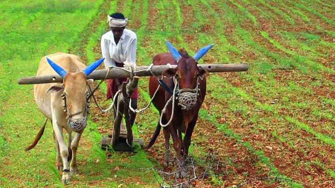 ಕೃಷಿ ಭೂ ಮಾರಾಟ ನಿರ್ಬಂಧ ತೆರವಿಗೆ ಚಿಂತನೆ, ಅನ್ನದಾತನ್ನ ಅನಾಥ ಮಾಡುತ್ತಾ ಸರ್ಕಾರ?