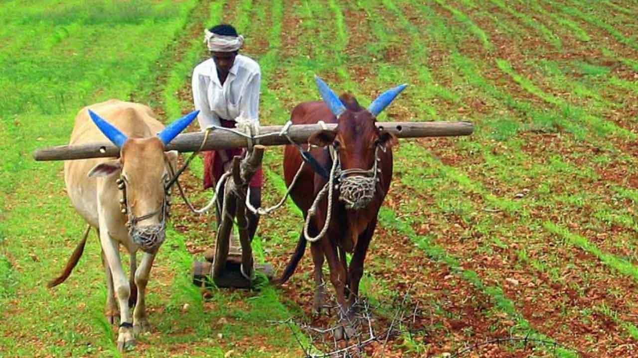 ಕೃಷಿ ಭೂ ಮಾರಾಟ ನಿರ್ಬಂಧ ತೆರವಿಗೆ ಚಿಂತನೆ, ಅನ್ನದಾತನ್ನ ಅನಾಥ ಮಾಡುತ್ತಾ ಸರ್ಕಾರ? ಕೃಷಿ ಭೂ ಮಾರಾಟ ನಿರ್ಬಂಧ ತೆರವಿಗೆ ಚಿಂತನೆ, ಅನ್ನದಾತನ್ನ ಅನಾಥ ಮಾಡುತ್ತಾ ಸರ್ಕಾರ?