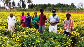 ಅಭಯ ಆಂಜನೇಯನ ಹುಂಡಿ-ಆಭರಣವನ್ನೂ ಬಿಡಲಿಲ್ಲ ಕಳ್ಳರು!