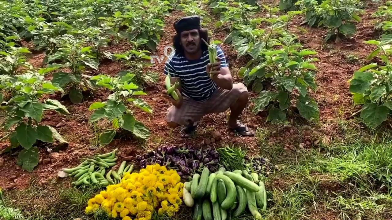 ಲಾಕ್ಡೌನ್ ಬ್ರೇಕ್ನಲ್ಲಿ ನಟ ಉಪ್ಪಿ ತಮ್ಮ ಪ್ರೀತಿಯ ತೋಟದಲ್ಲಿ ಬದನೆಕಾಯಿ ಬೆಳೆದರು!