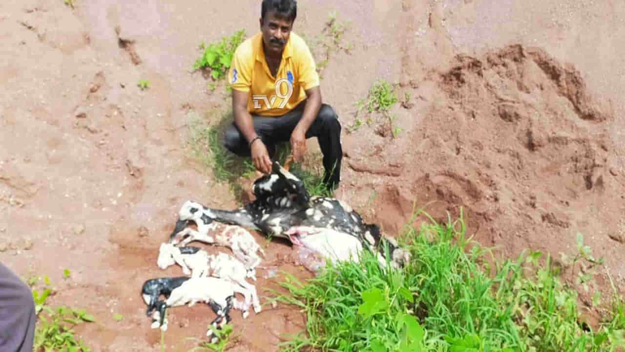 ಹೊಟ್ಟೆ ನೋವು ಅಂತ ತೋರಿಸಿದರೆ ಆ ವೈದ್ಯ ನೀಡಿದ ಔಷಧಿಯಿಂದ ಏನಾಯಿತು ಗೊತ್ತಾ?