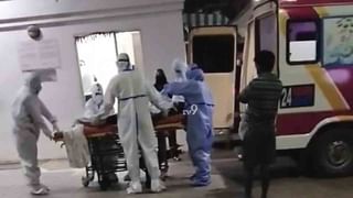 ವಿದ್ಯುತ್ ತಗುಲುತ್ತಿದ್ದಂತೆ ಜೋರಾಗಿ ಘೀಳಿಟ್ಟು.. ಅಸುನೀಗಿದ ಒಂಟಿ ಸಲಗ