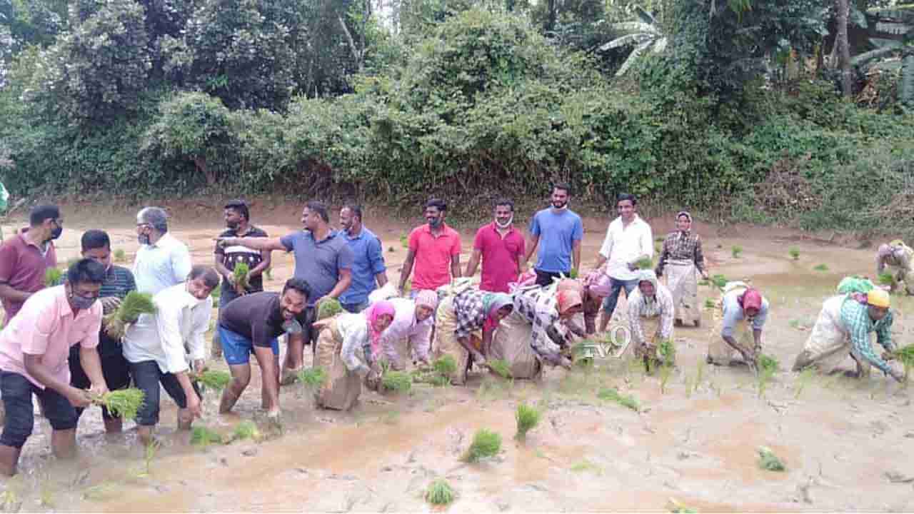 ಕಾಫಿನಾಡಲ್ಲಿ ಕೊರೊನಾ ಸಂಕಷ್ಟಕ್ಕೆ ‘ನಾಟಿ’ ಮದ್ದು!