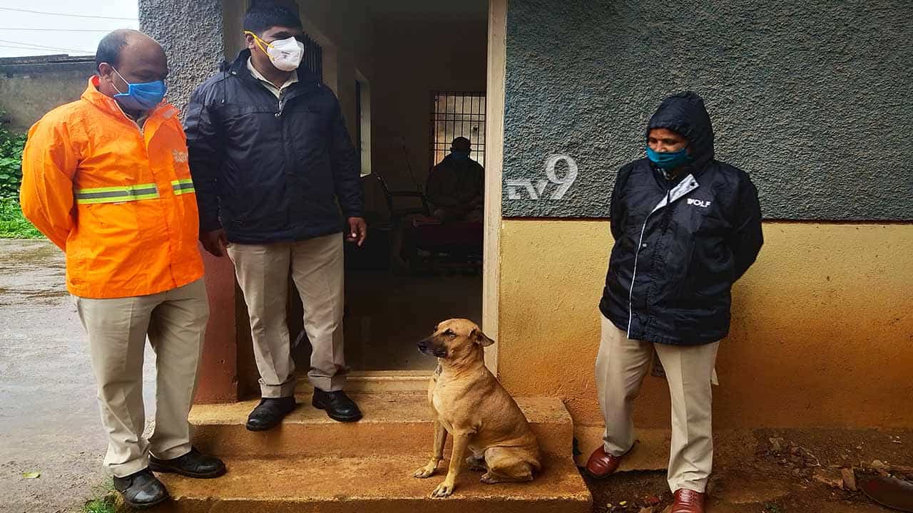 ಪೇಡಾ ನಗರಿಯಲ್ಲೊಂದು ಅಪರೂಪದ ದೇಶಿ ನಾಯಿ! ಆರಕ್ಷಕರ ರಕ್ಷಕ ಈ ರಾಜ.. ಪೇಡಾ ನಗರಿಯಲ್ಲೊಂದು ಅಪರೂಪದ ದೇಶಿ ನಾಯಿ! ಆರಕ್ಷಕರ ರಕ್ಷಕ ಈ ರಾಜ..