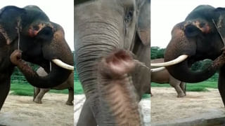 BIEC ಕೇಂದ್ರಕ್ಕೆ ‘ಗುಣಲಕ್ಷಣವಿಲ್ಲದ ಸೋಂಕಿತರನ್ನು’ ಇಂದೇ ಶಿಫ್ಟ್​ ​​ಮಾಡಿ -ಸಿಎಂ BSY ಸೂಚನೆ