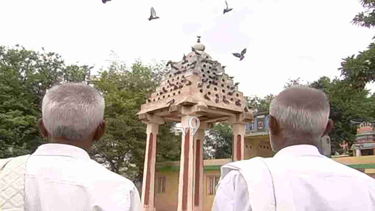 ಇಂಥ ಅಪರೂಪದಲ್ಲೇ ಅಪರೂಪದ ಪಕ್ಷಿಗಳ ದೇವಾಲಯ ಎಲ್ಲಿಯಾದ್ರೂ ನೋಡಿದ್ದಿರಾ?