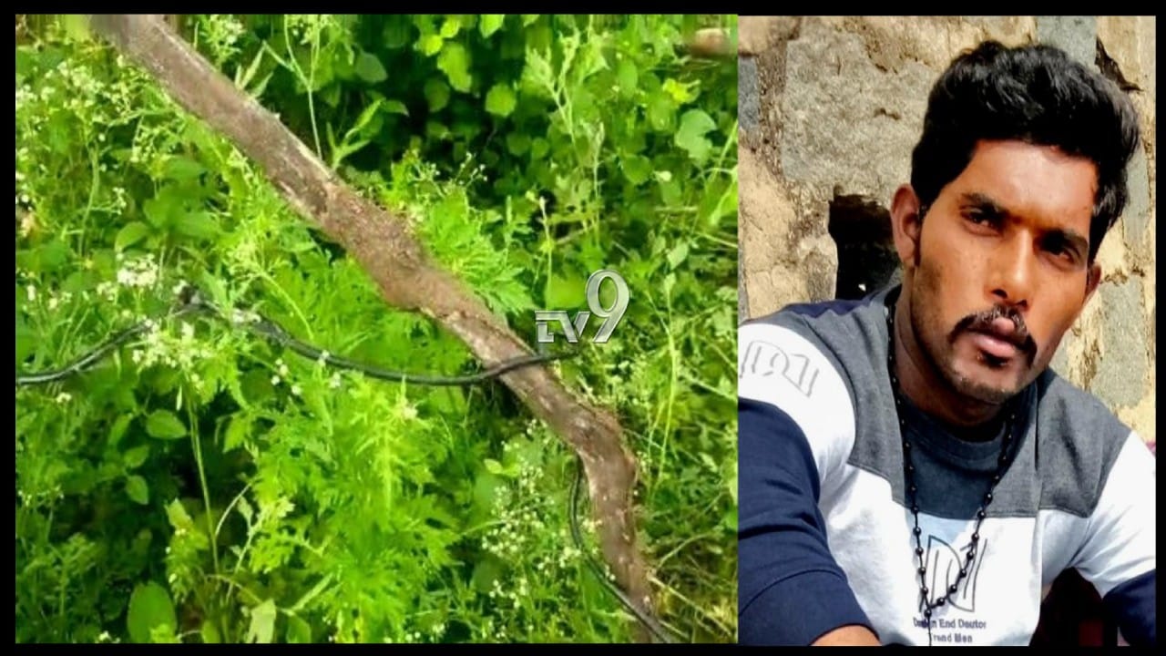 ಜೋತು ಬಿದ್ದಿದ್ದ ವಿದ್ಯುತ್ ತಂತಿ ಸ್ಪರ್ಶಿಸಿ ಯುವಕ ಸಾವು ಜೋತು ಬಿದ್ದಿದ್ದ ವಿದ್ಯುತ್ ತಂತಿ ಸ್ಪರ್ಶಿಸಿ ಯುವಕ ಸಾವು