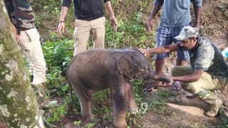 ಒಂದೇ ದಿನ 50 ಮಹಿಳೆಯರಿಗೆ ಸೋಂಕು ದೃಢ, ಎಲ್ಲಿ?